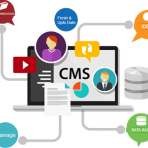 Website CMS Package for Medium Business